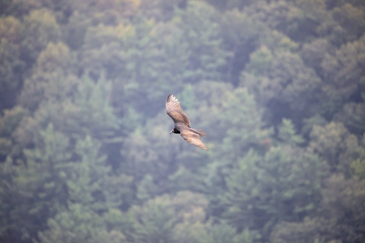 220826_Devils Lake-13 Large.jpeg