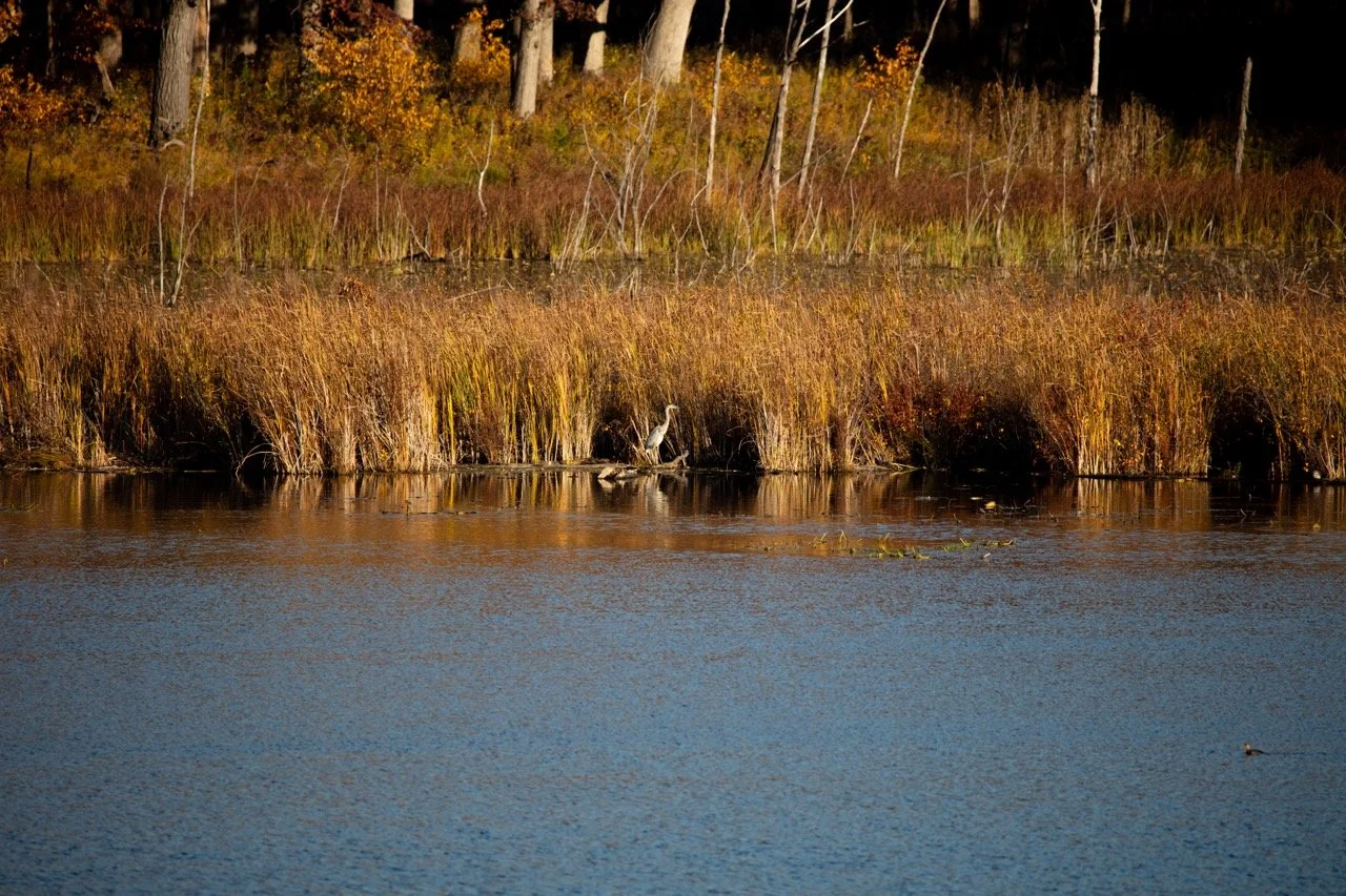 221023_Hikes with Megan-69 Large.jpeg