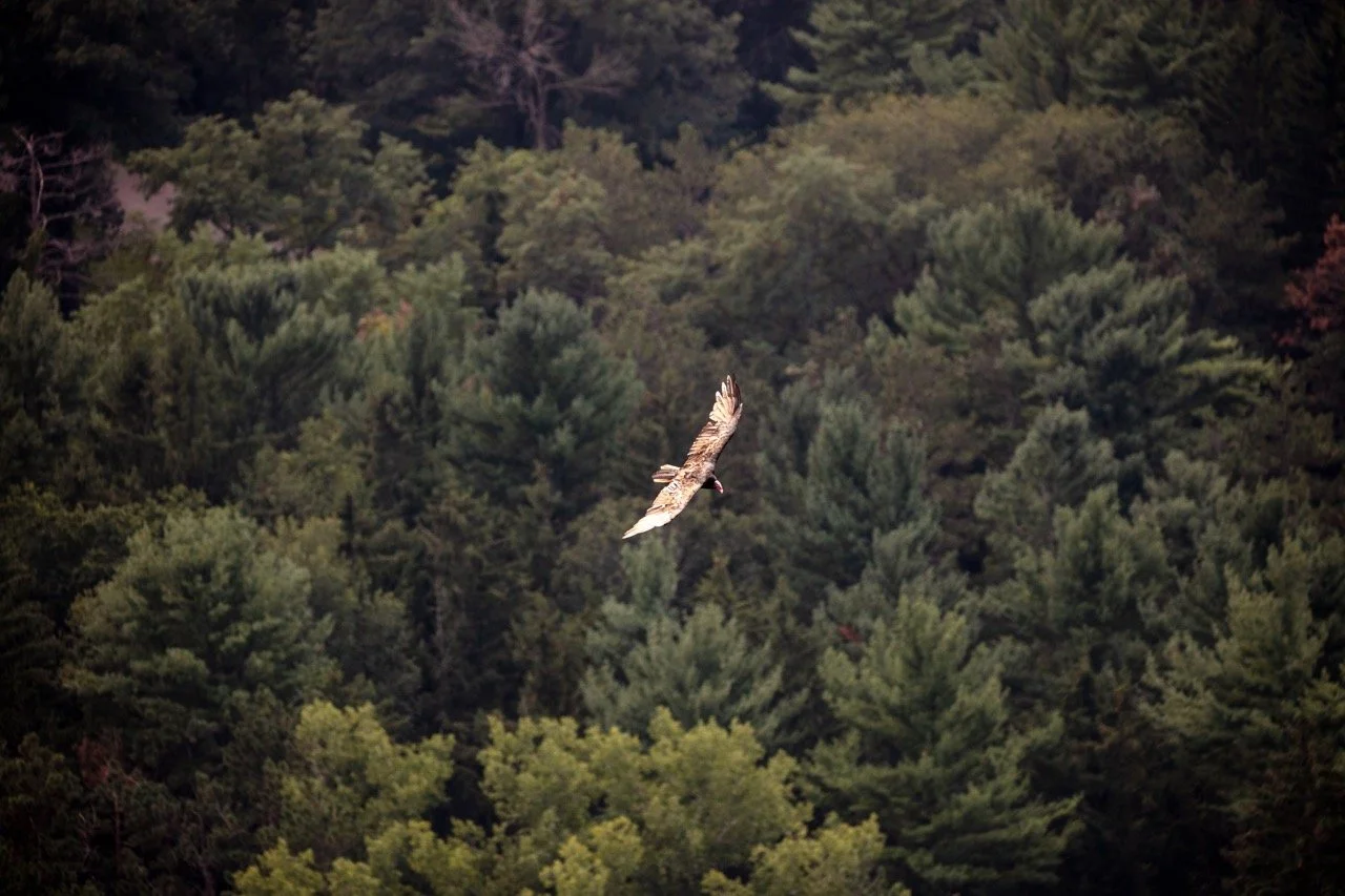 220826_Devils Lake-19 Large.jpeg