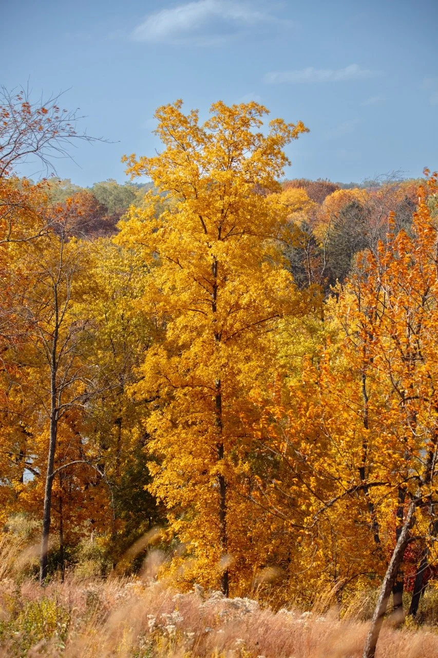 221023_Hikes with Megan-03 Large.jpeg