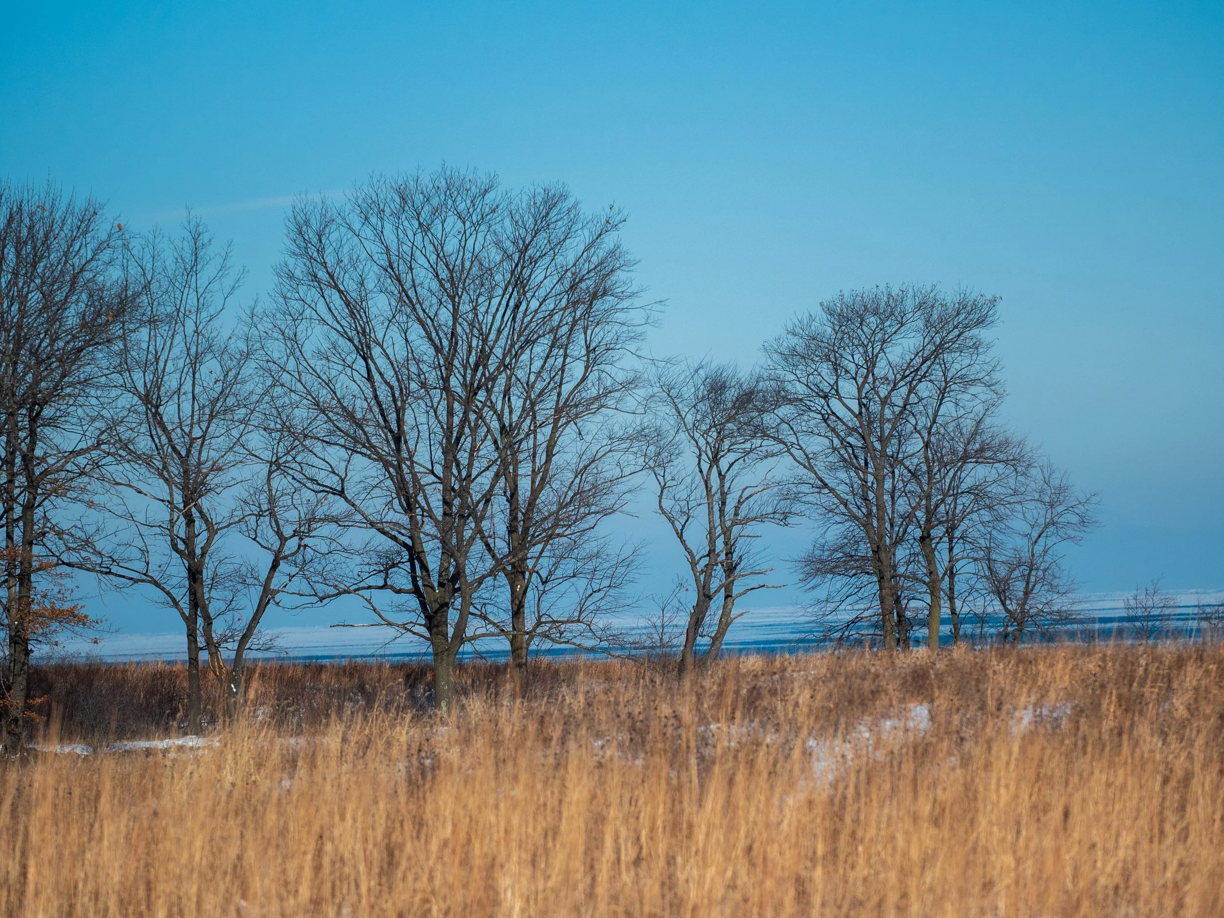 Cold day at lake-17.jpg