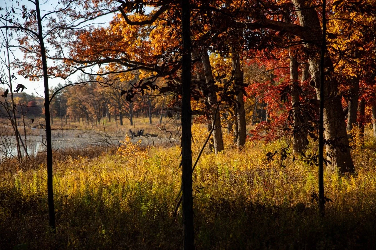 221023_Hikes with Megan-46 Large.jpeg