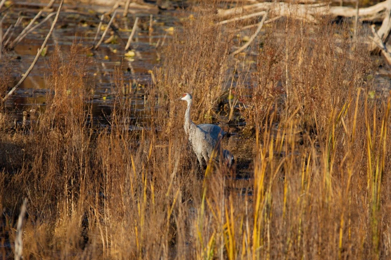 221023_Hikes with Megan-31 Large.jpeg
