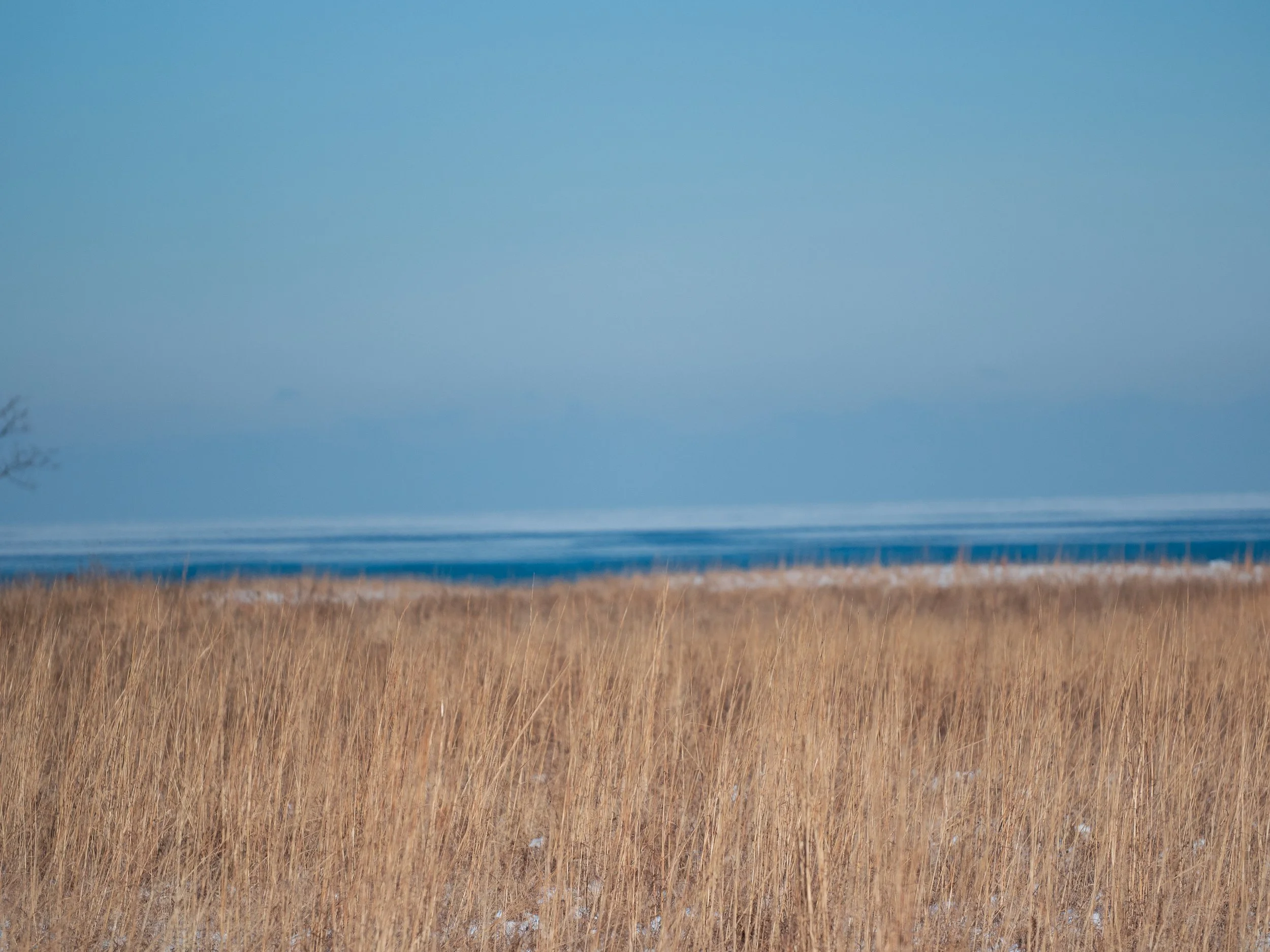 Cold day at lake-16.jpg