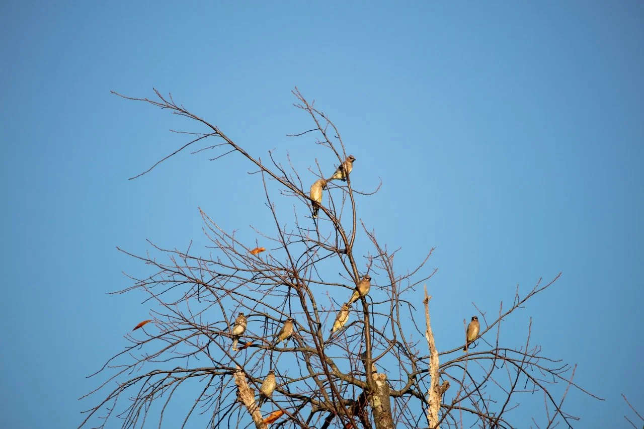 221023_Hikes with Megan-34 Large.jpeg