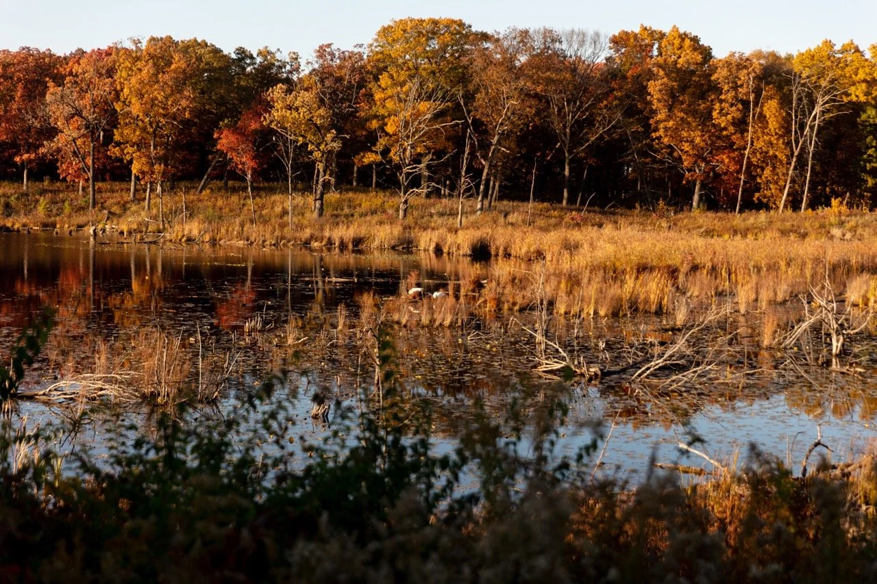 221023_Hikes with Megan-35 Large.jpeg