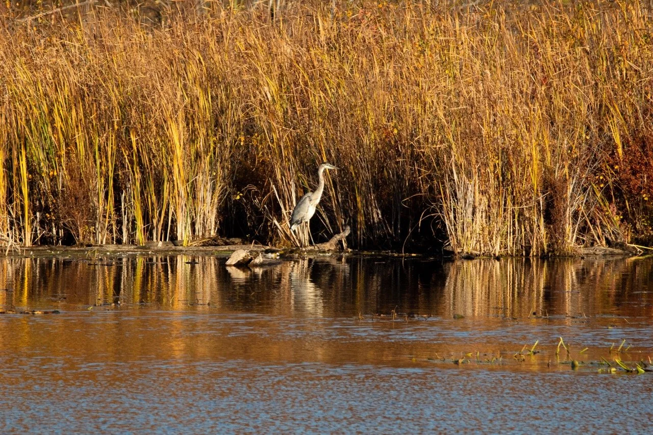 221023_Hikes with Megan-68 Large.jpeg