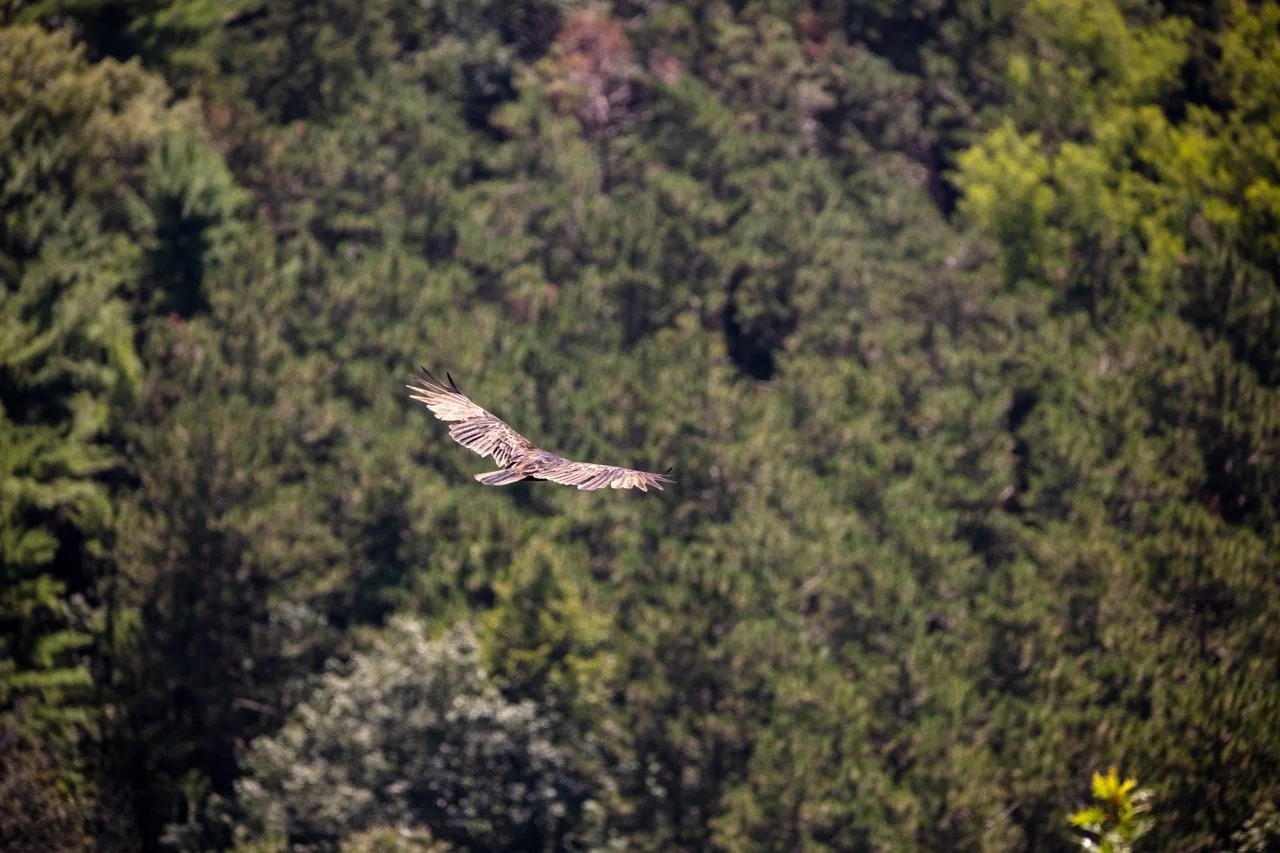 220826_Devils Lake-33 Large.jpeg