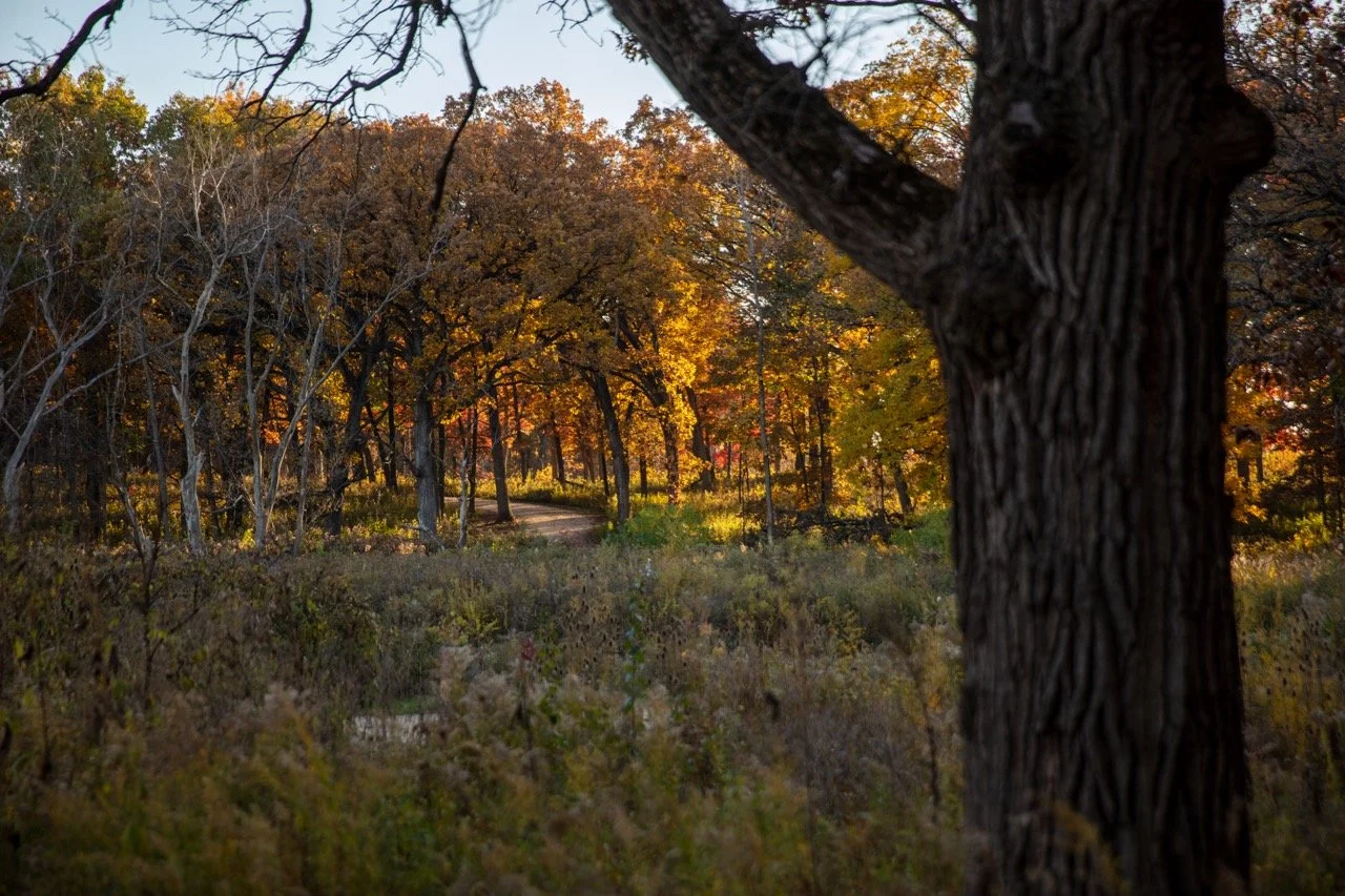 221023_Hikes with Megan-39 Large.jpeg