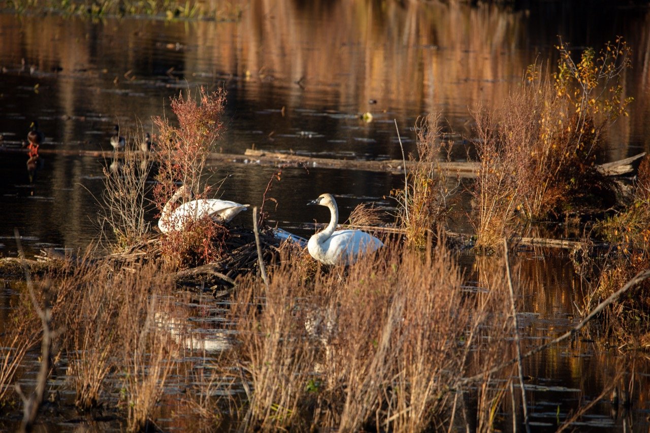 221023_Hikes with Megan-27 Large.jpeg