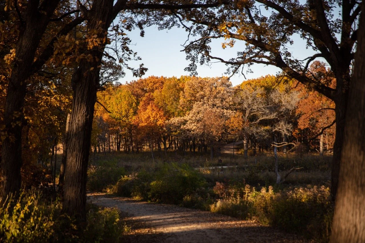 221023_Hikes with Megan-45 Large.jpeg