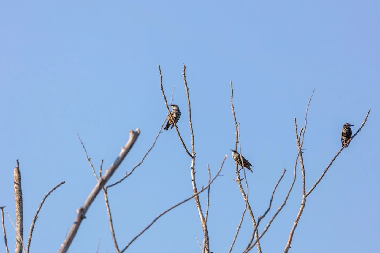 221023_Hikes with Megan-61 Large.jpeg