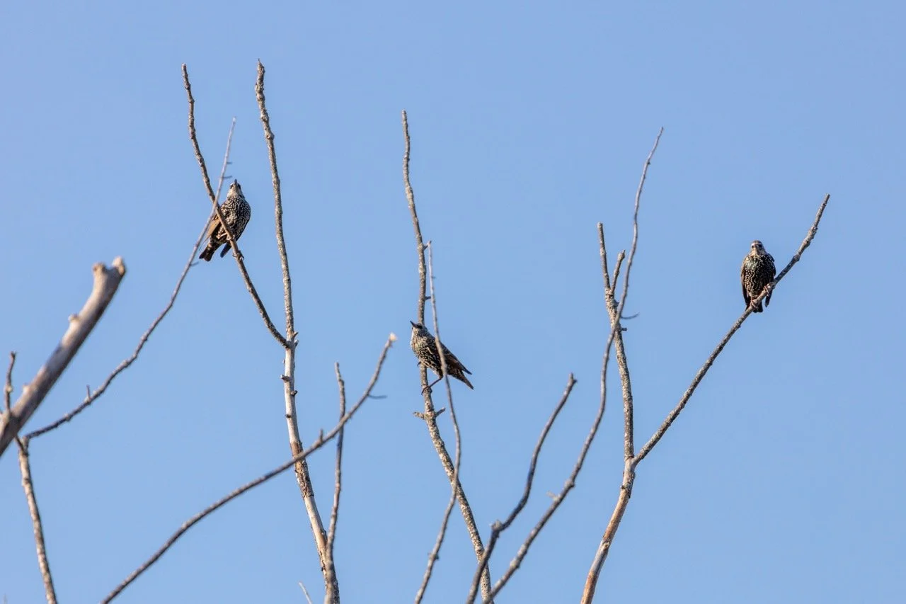 221023_Hikes with Megan-60 Large.jpeg
