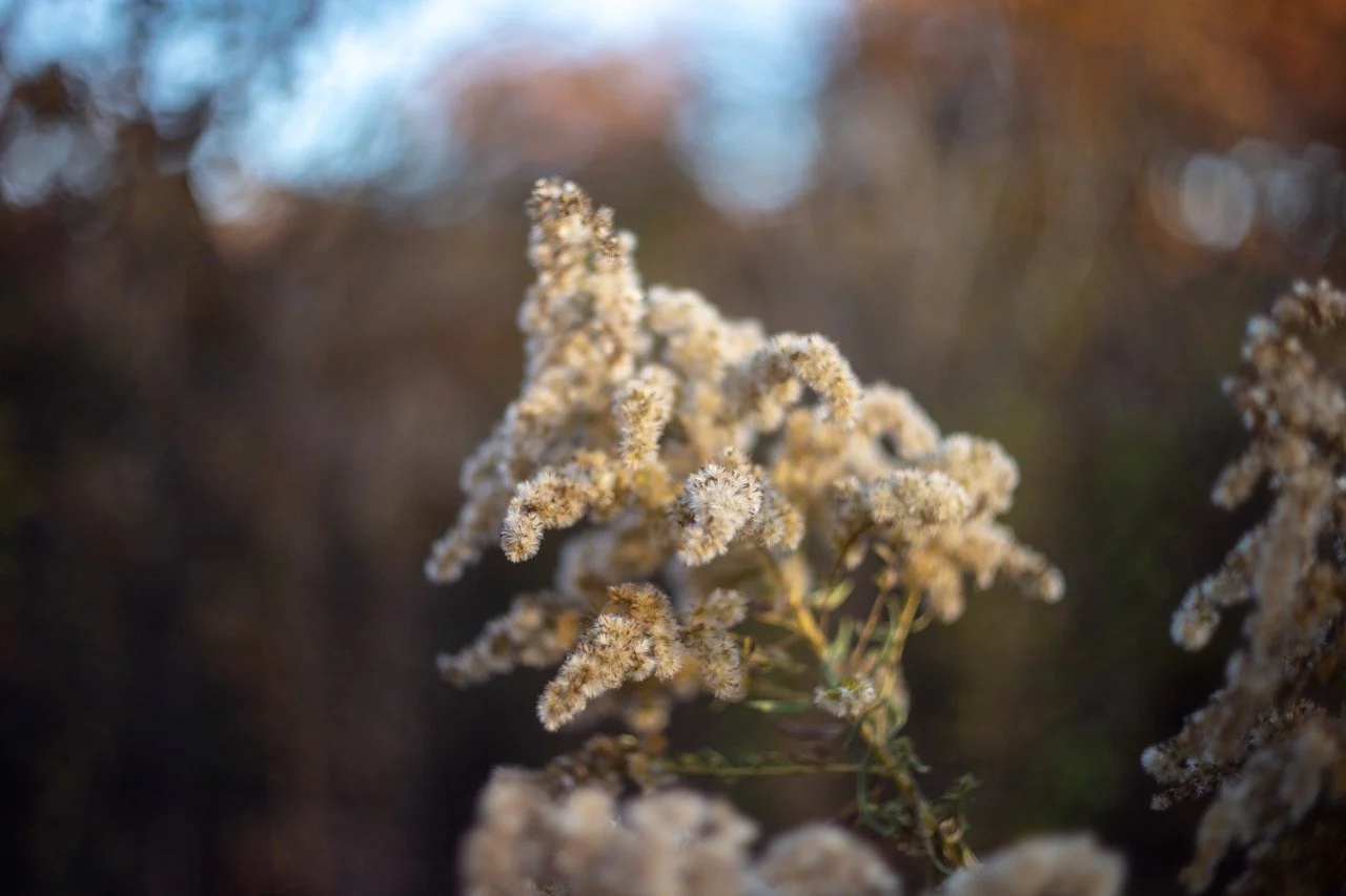 221023_Hikes with Megan-78 Large.jpeg