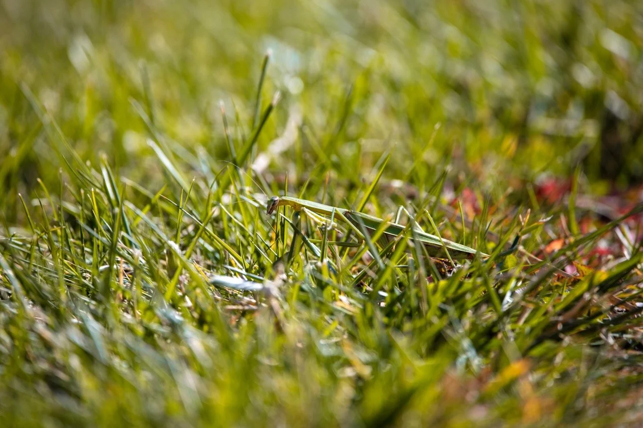 221023_Hikes with Megan-08 Large.jpeg