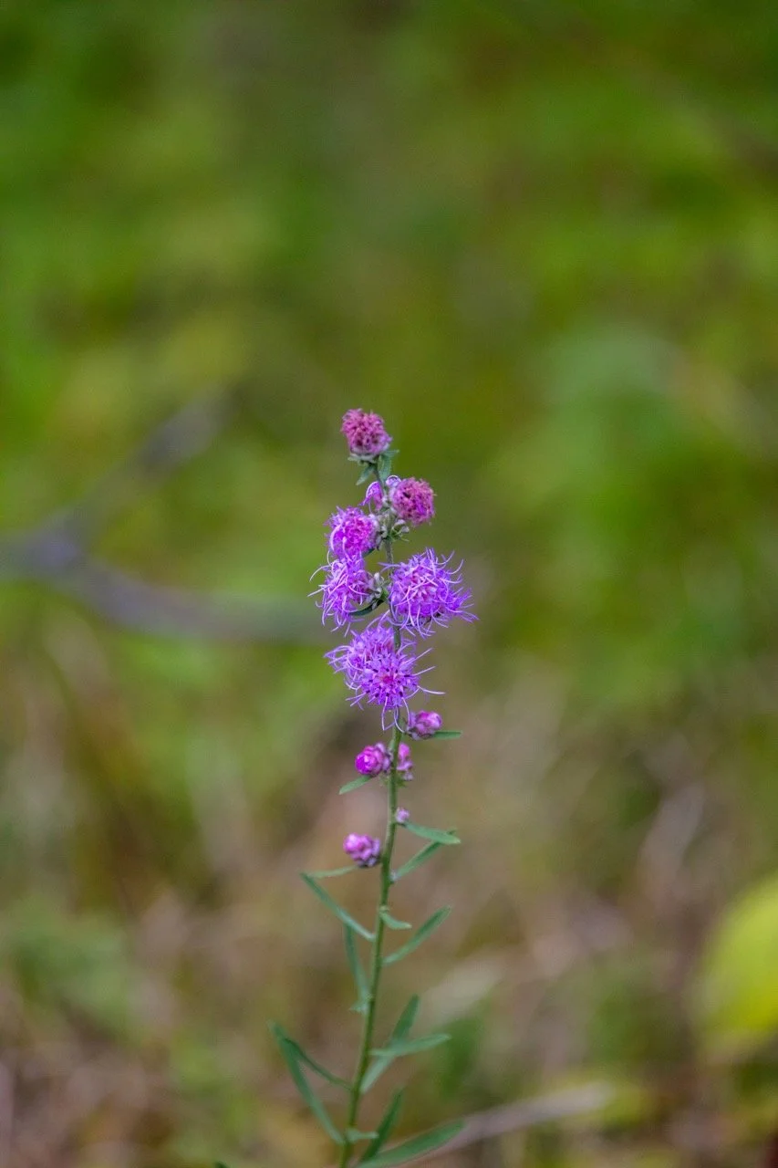 220826_Devils Lake-07 Large.jpeg
