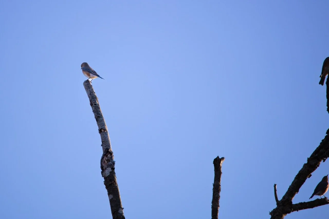 221023_Hikes with Megan-22 Large.jpeg