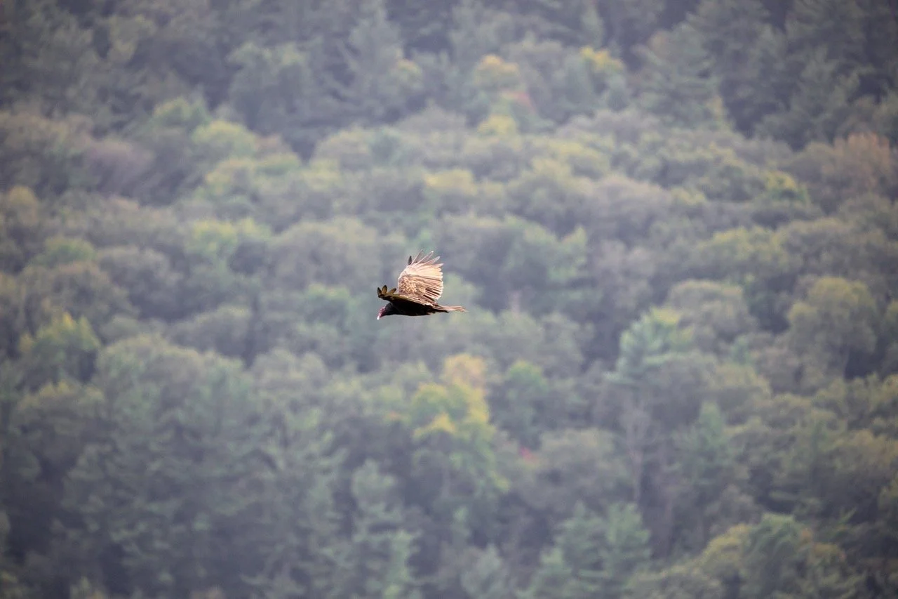 220826_Devils Lake-11 Large.jpeg