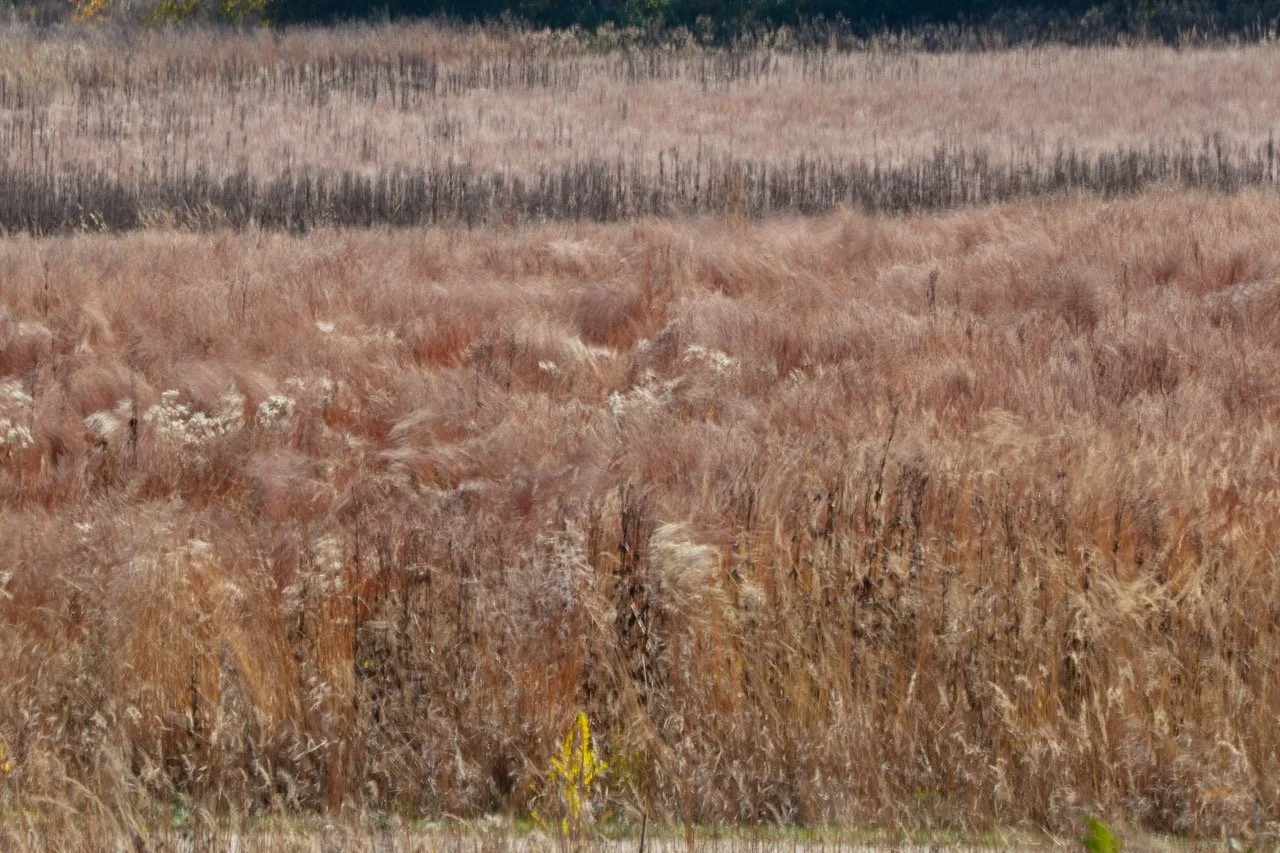 221023_Hikes with Megan-17 Large.jpeg