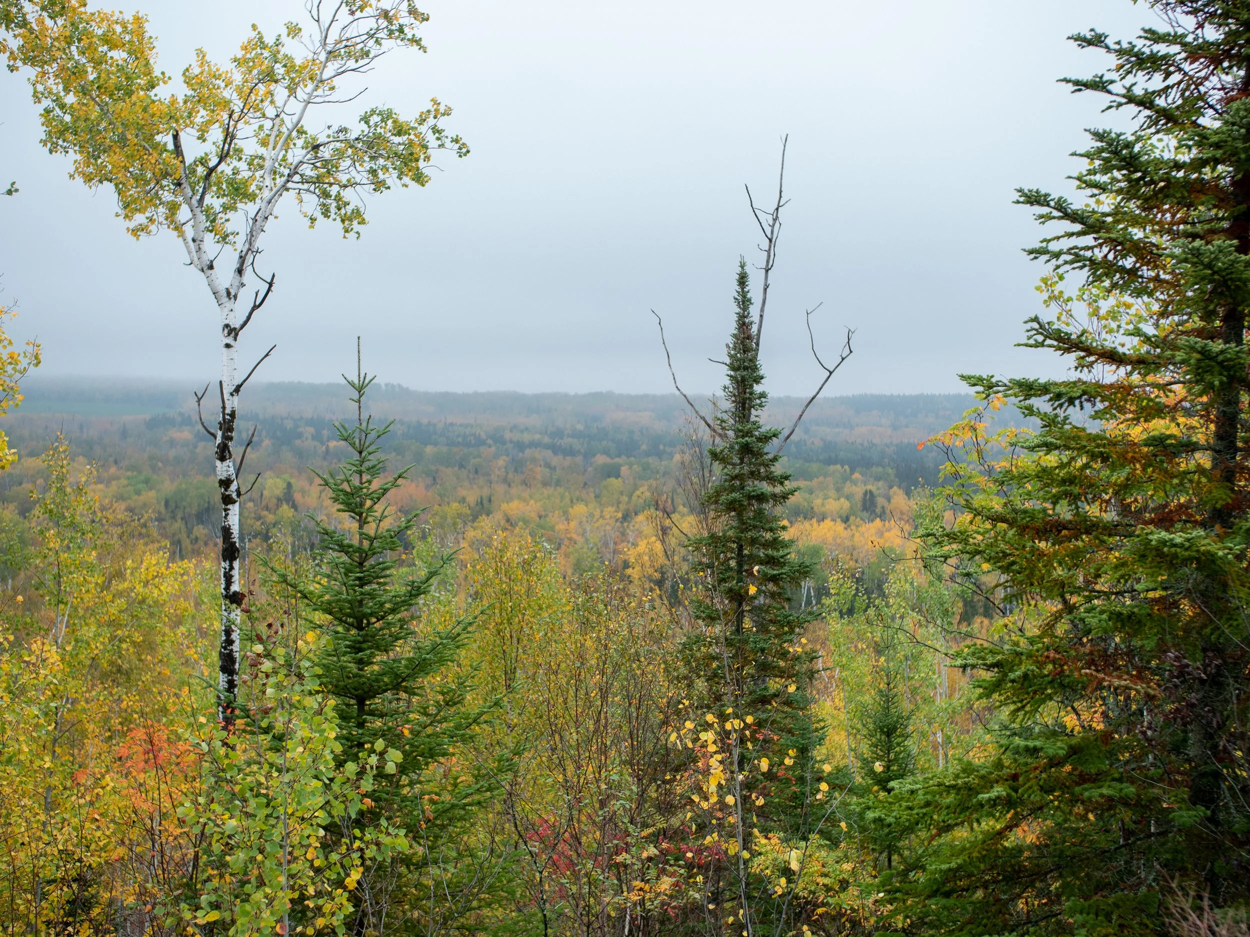 211008_Grand Marais Trip-073.jpg