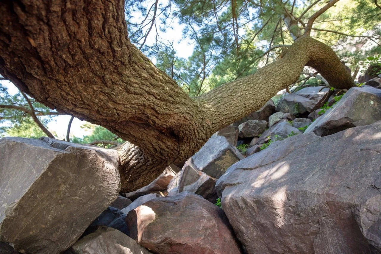 220826_Devils Lake-60 Large.jpeg