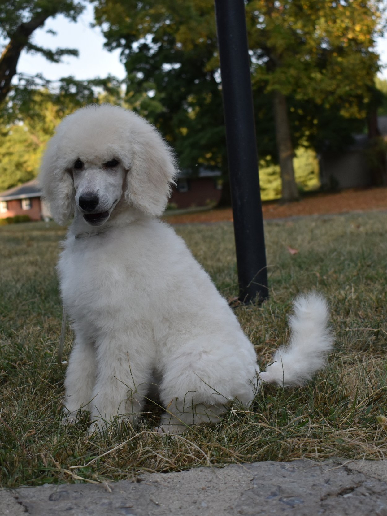DSC_0795.jpg