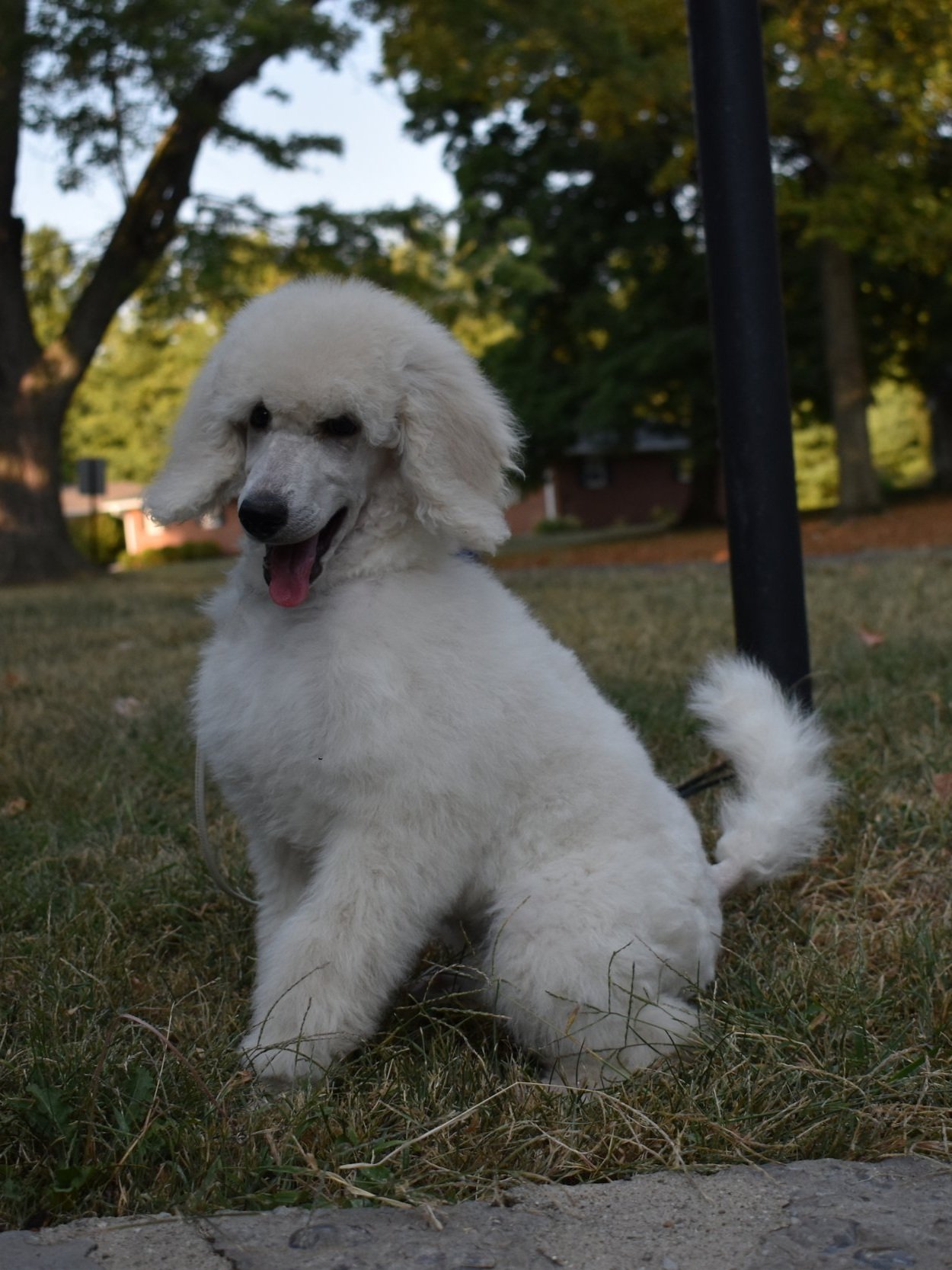 DSC_0788.jpg