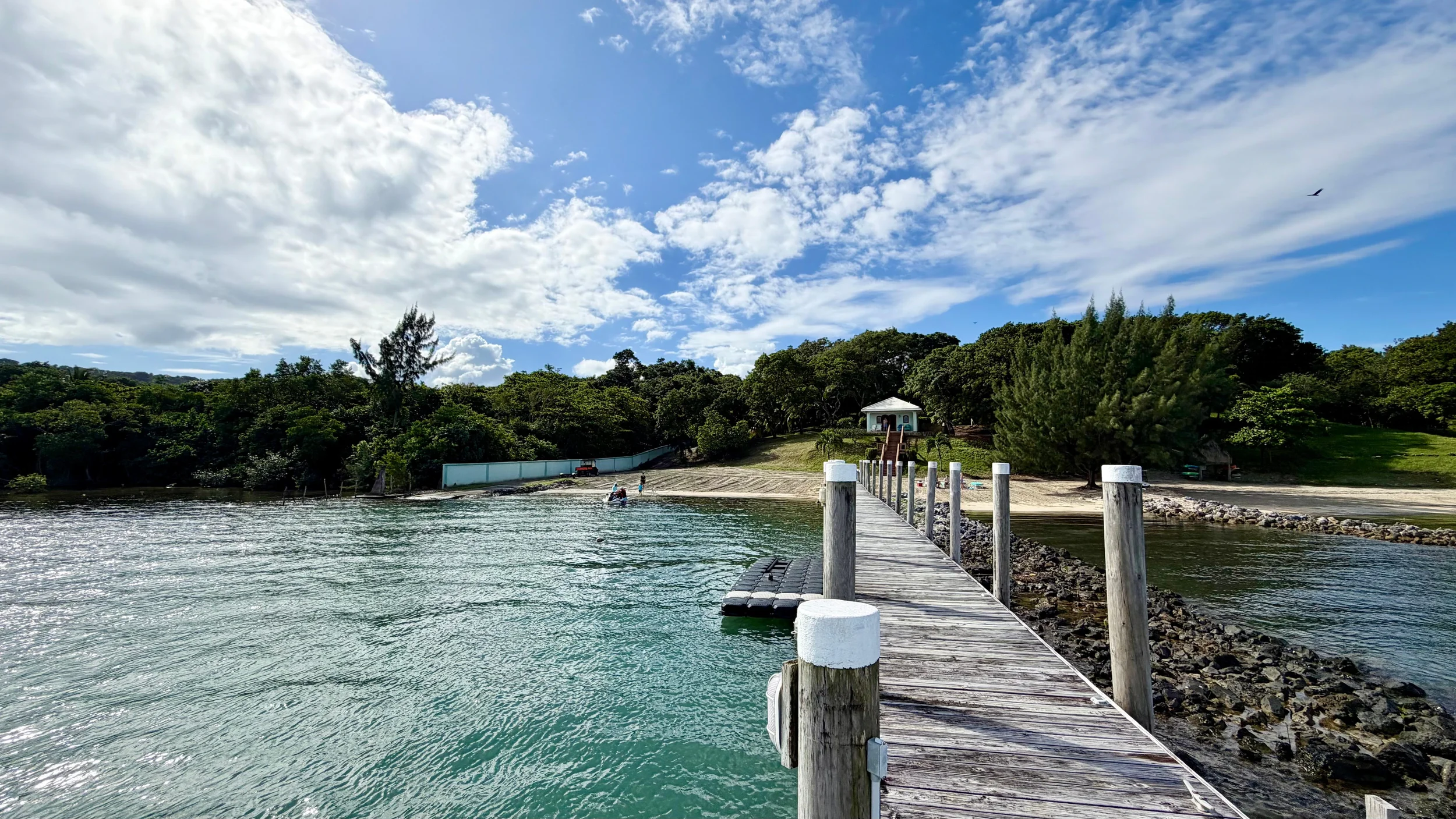 January 2026 Guest Comments