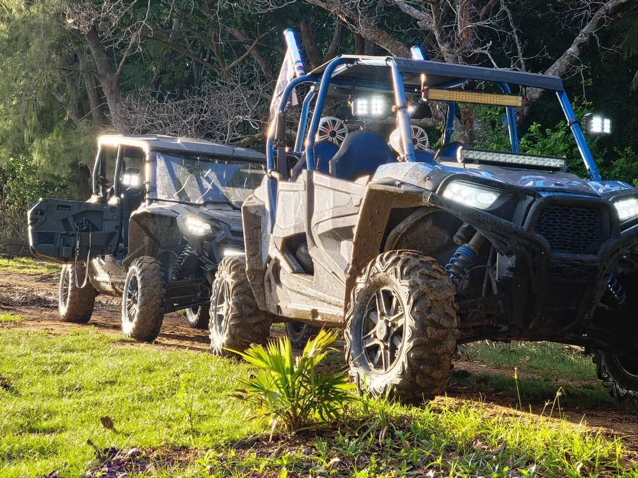 WhatsApp Image 2026-02-26 at 11.35.34 AM.jpeg