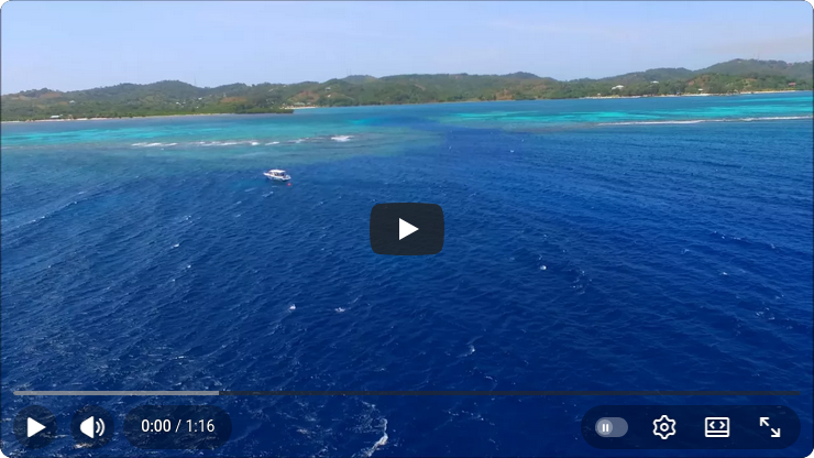 Roatan North Shore Drone Flight Video