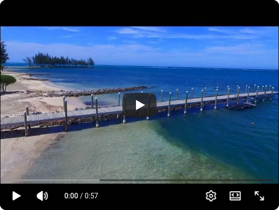 Drone Crash in the Water