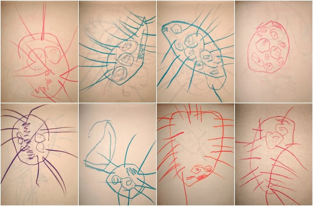 The Blaise Spike Bug Collection