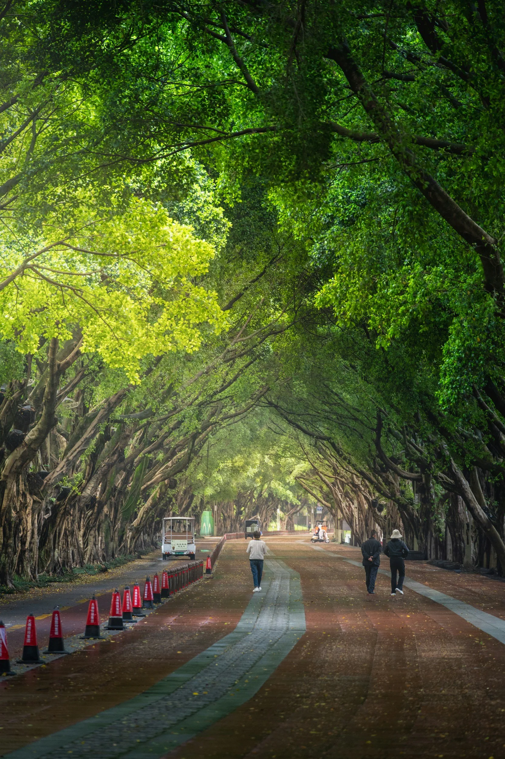 Best Coconut Grove Wedding Portrait Locations