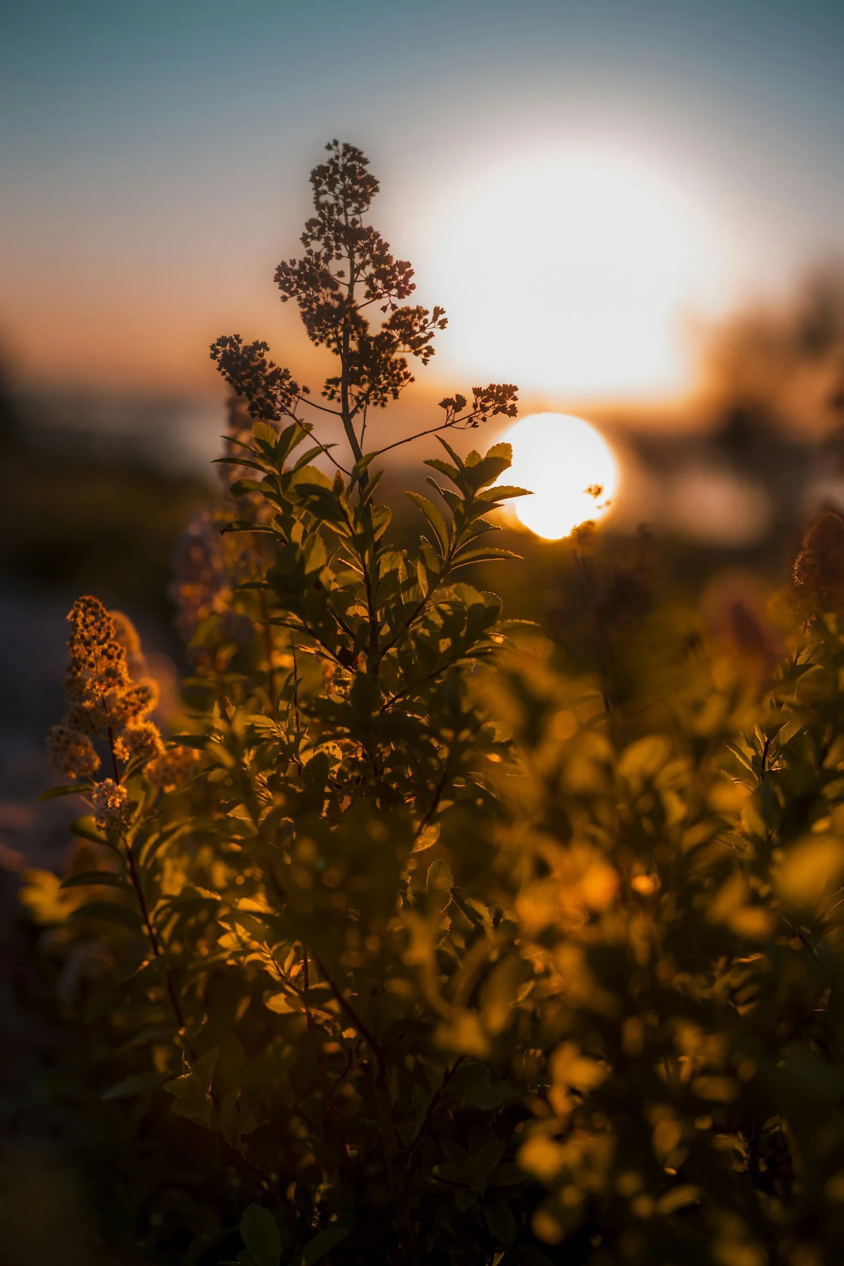 Vizcaya Wedding Sunset Timing Guide