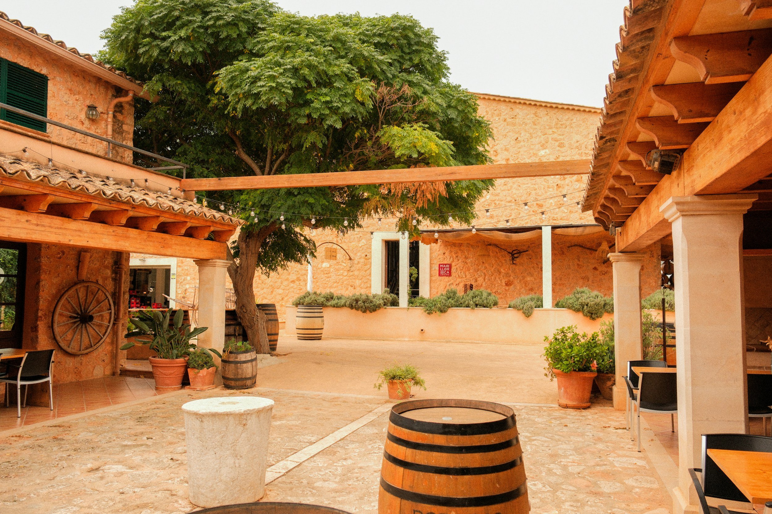Casa Feliz Wedding Guide: A Historic Winter Park Venue