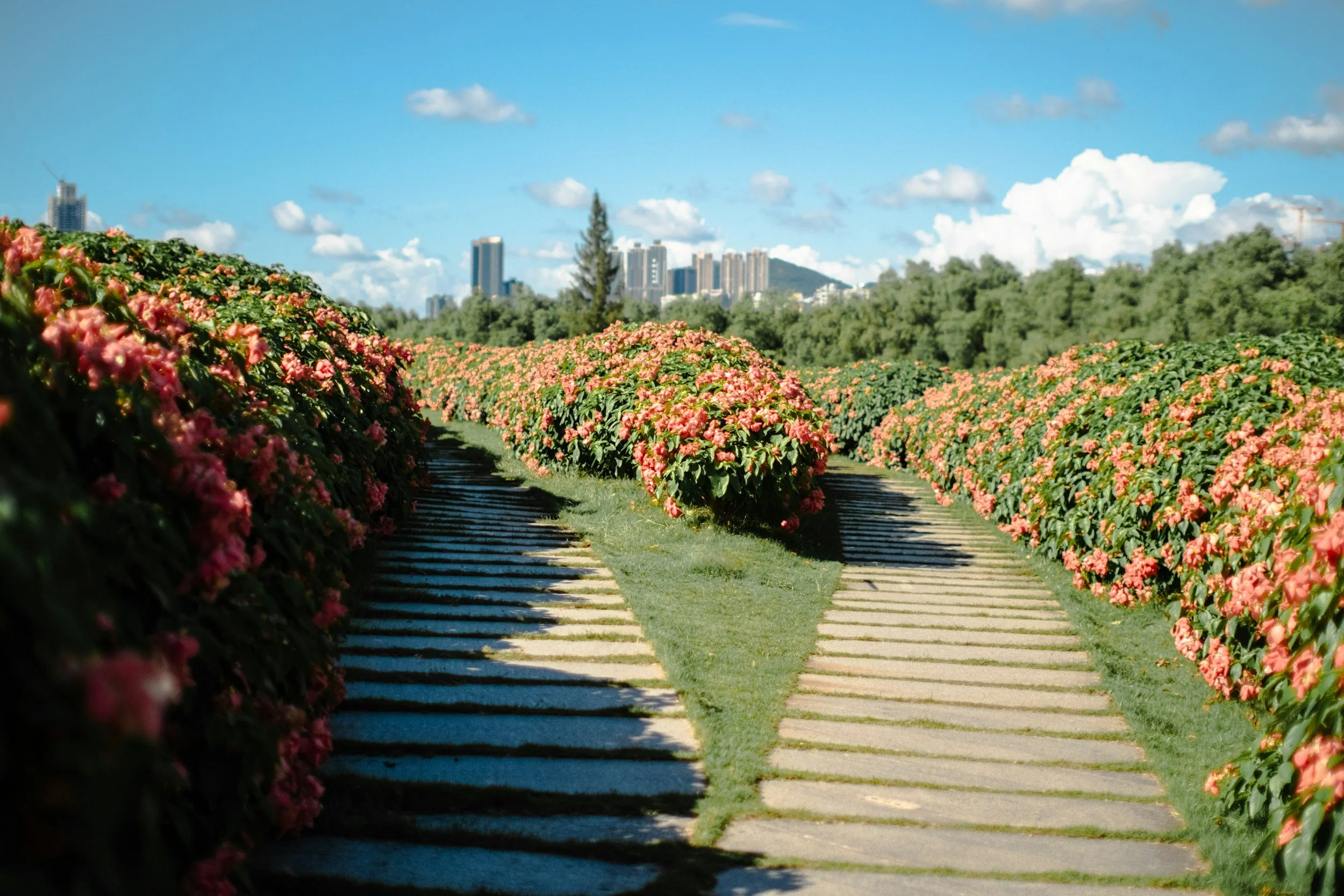 Harry P. Leu Gardens Wedding Guide: Botanical Orlando Weddings