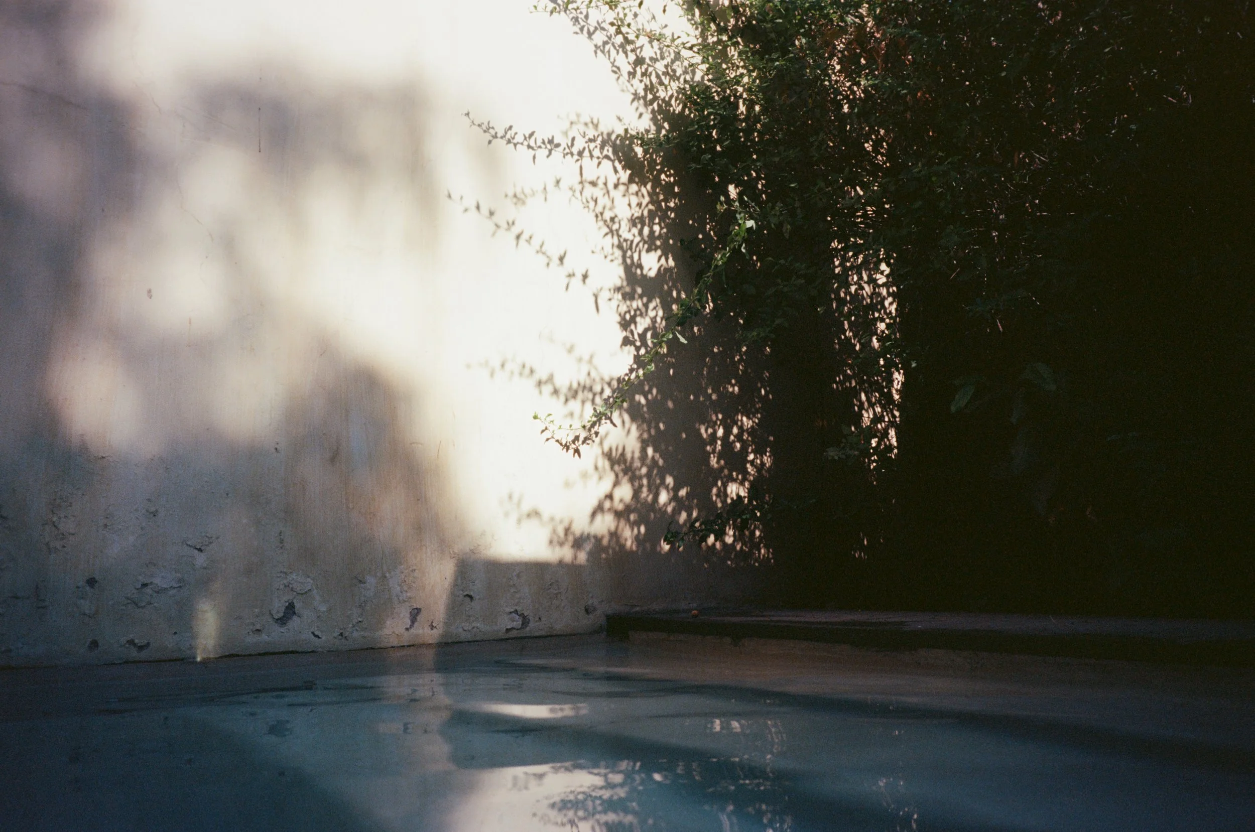 LeoAguirrePhoto_4.jpg