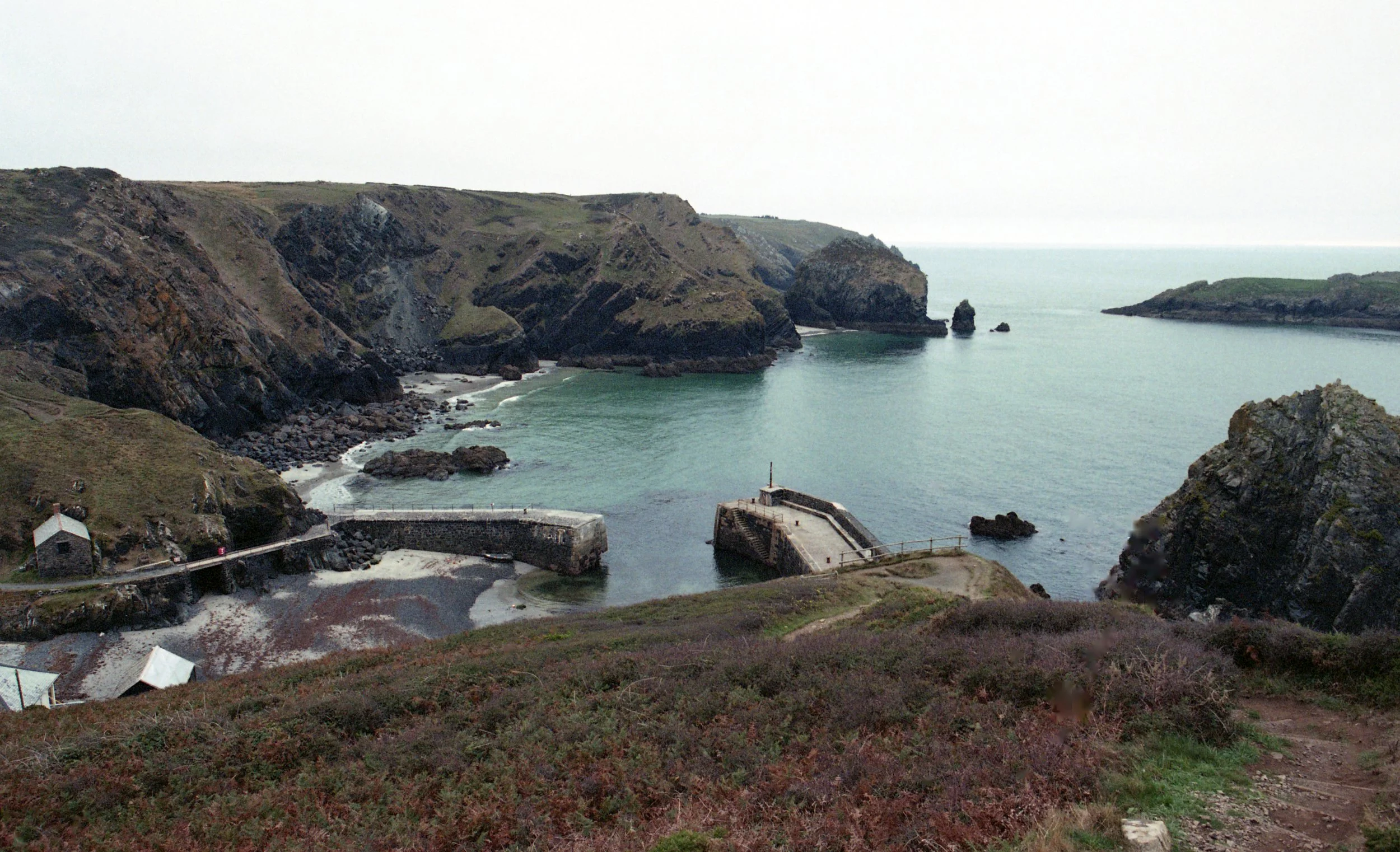 img20260930_15185922b.jpg