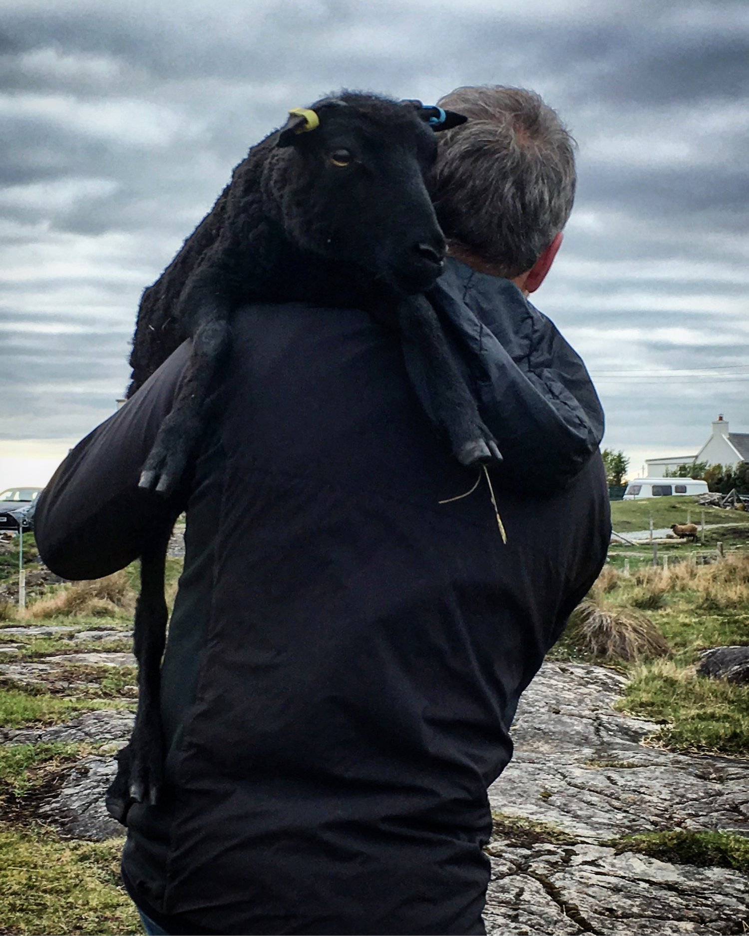 A-Sanna-Croft-luxury-holiday-let-beach-ardnamurchan-scotland-uk-west-highland-wool-natural-yarn-wildlife-home-insta-4.jpeg