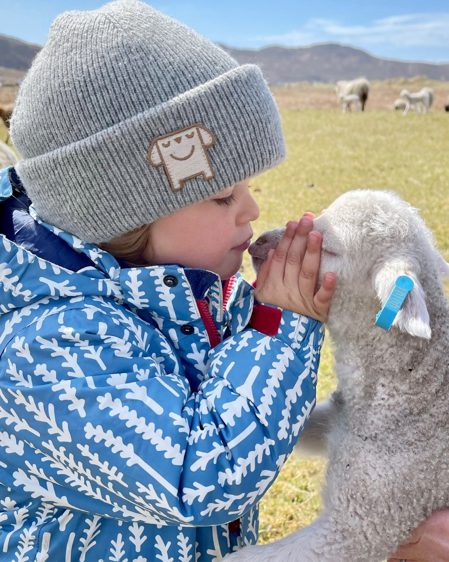 A-Sanna-Croft-luxury-holiday-let-beach-ardnamurchan-scotland-uk-west-highland-wool-natural-yarn-wildlife-home-insta-8.jpeg