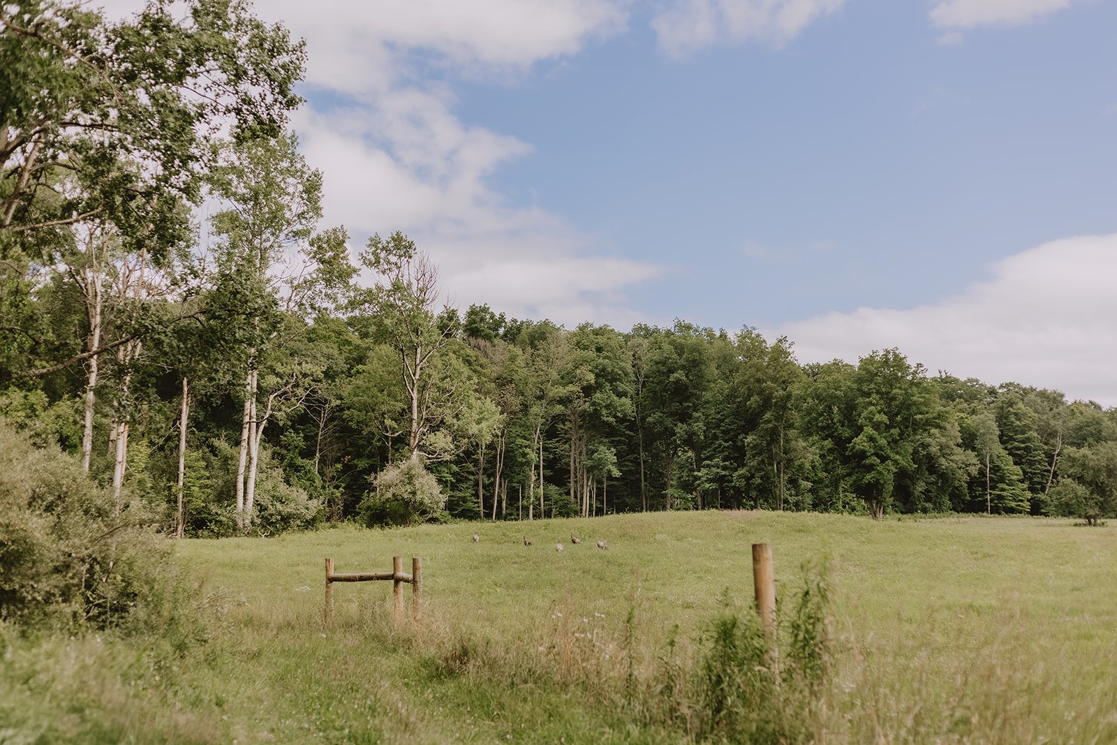 BaldwinFarmFarmLifeSummer2024-31.jpg
