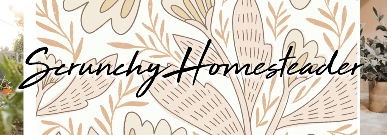 Scrunchy Homesteader