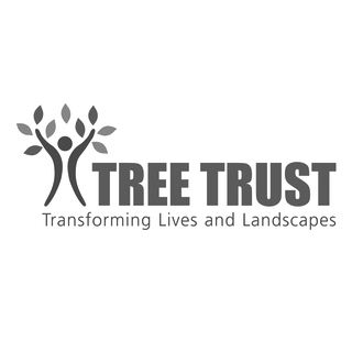  Tree Trust was created in 1976 to address two problems in our communities: the devastation of the urban tree canopy due to Dutch elm disease and the high unemployment and poverty rates for youth and adults at that time. We began combating these issu