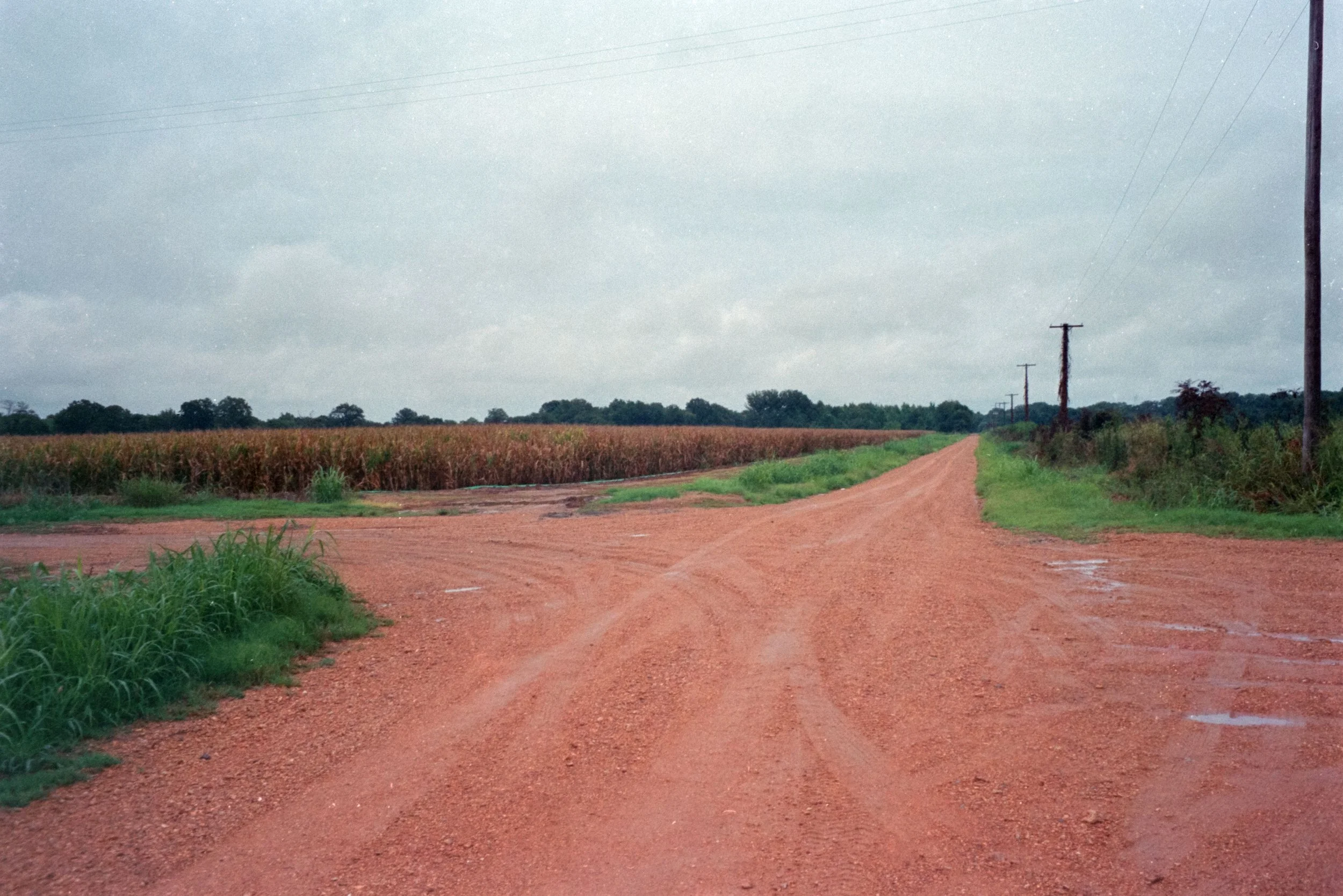 4894_001.JPG