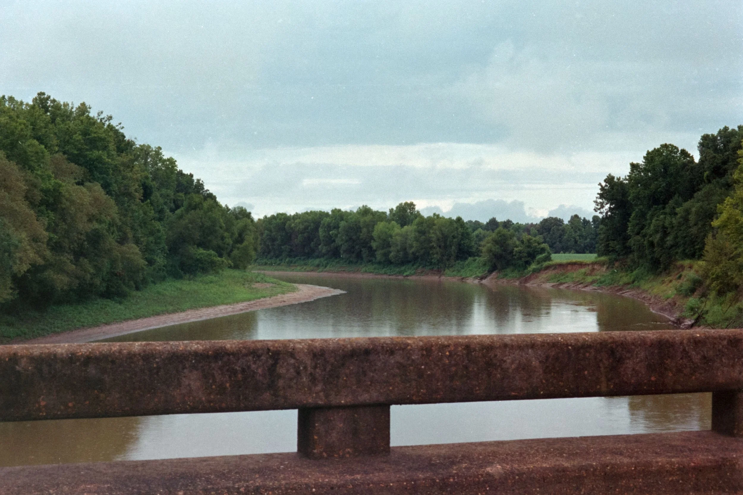 4894_005.JPG