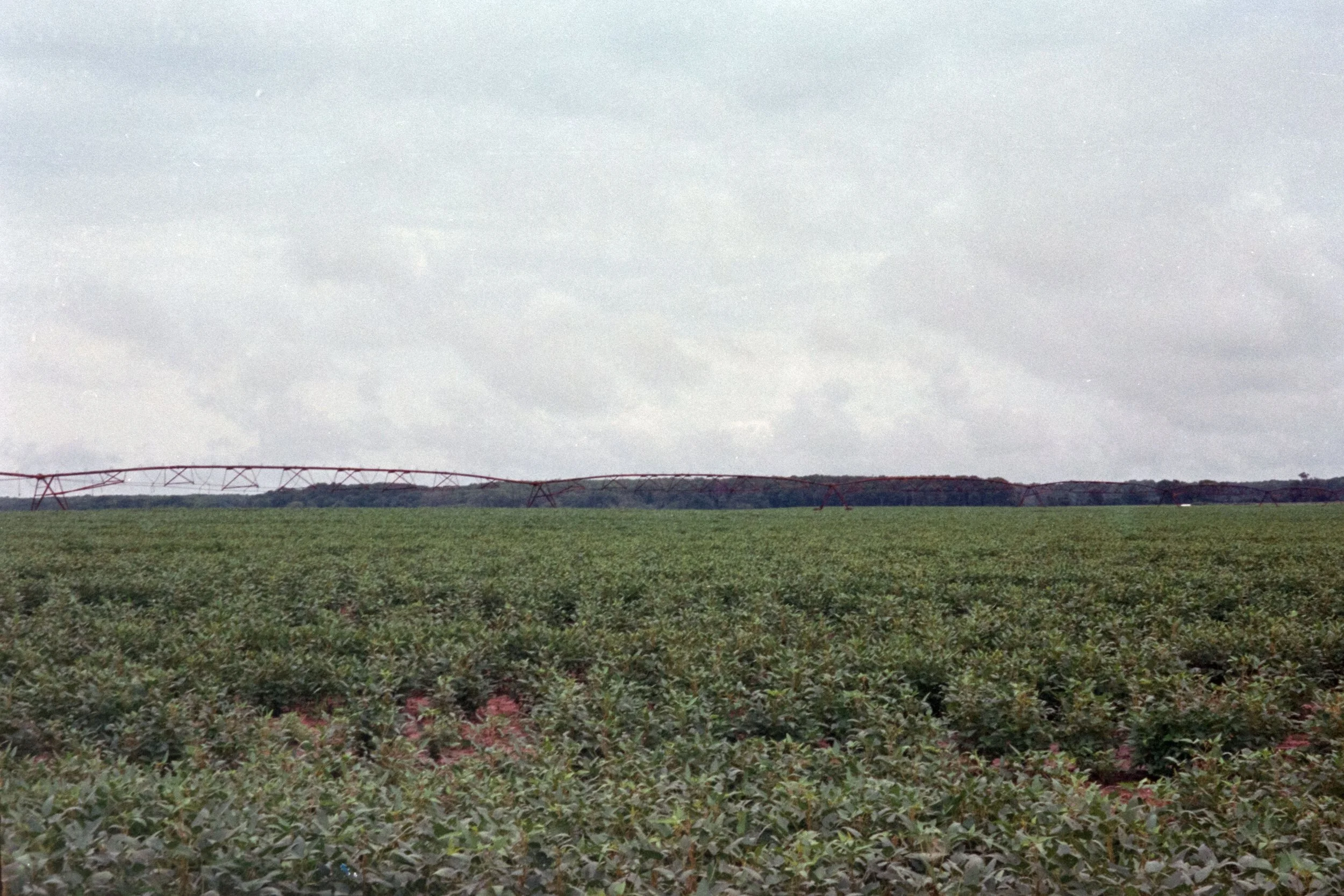 4894_006.JPG