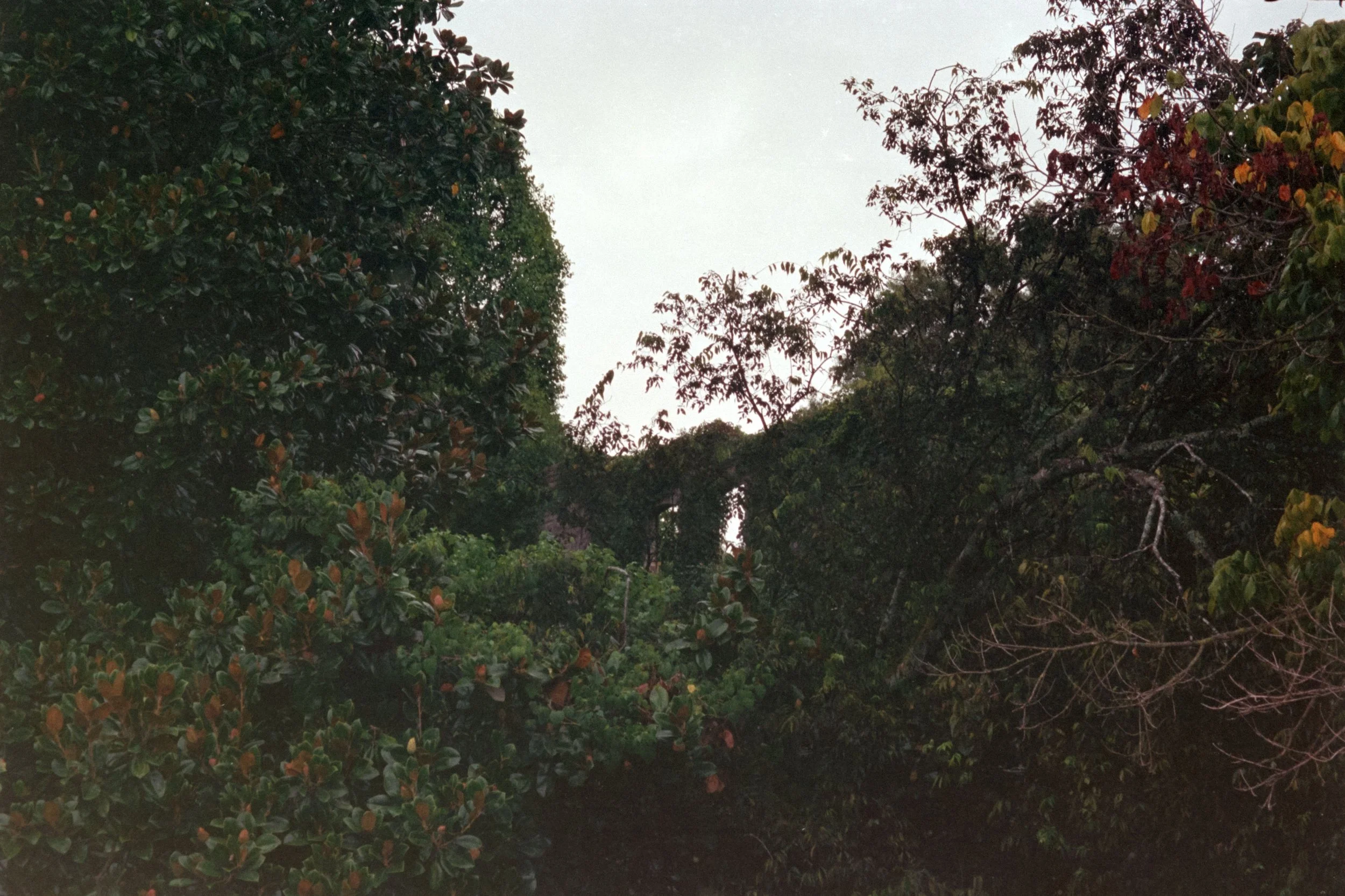 4894_008.JPG