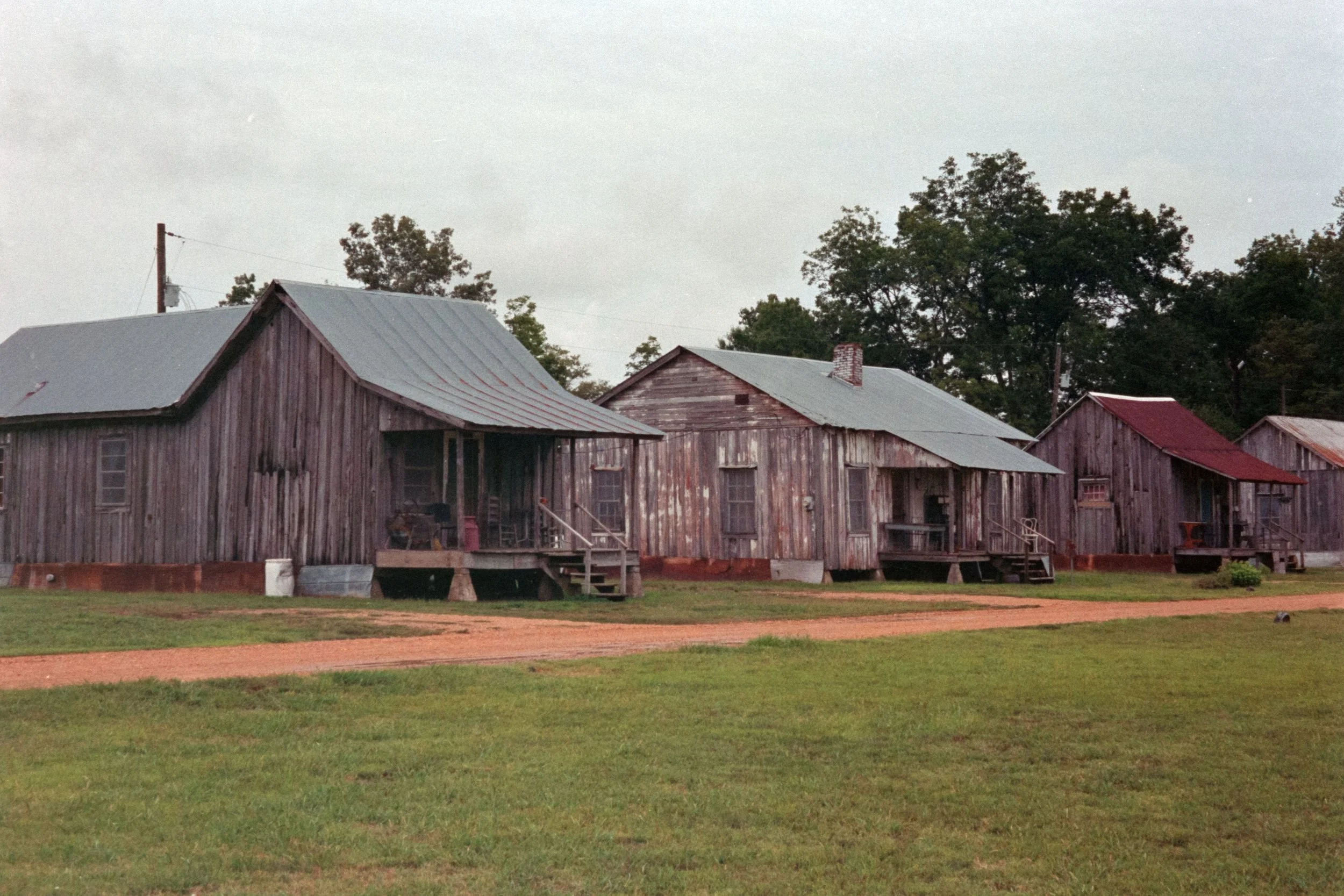 4894_013.JPG