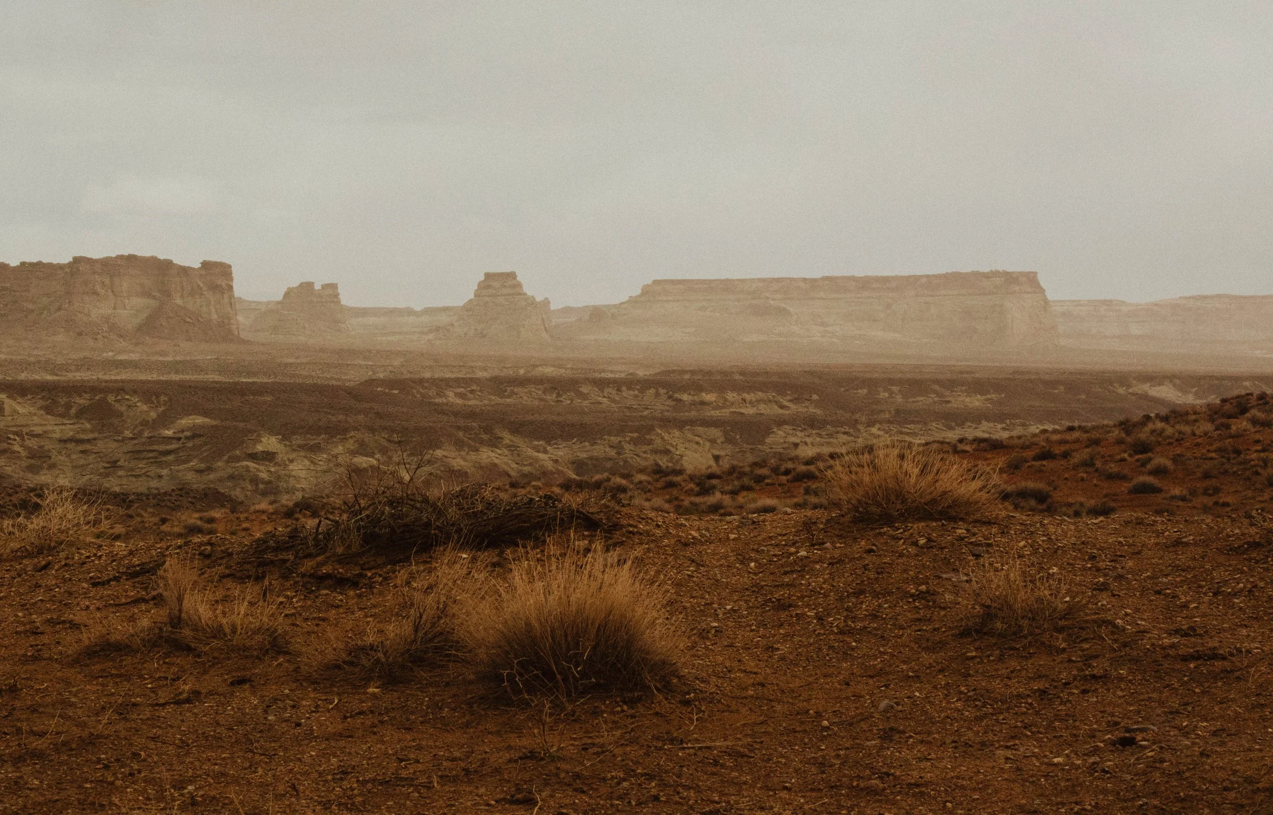 Desert landscape with reddish-brown soil and sparse vegetation, featuring distant mesas under an overcast sky.