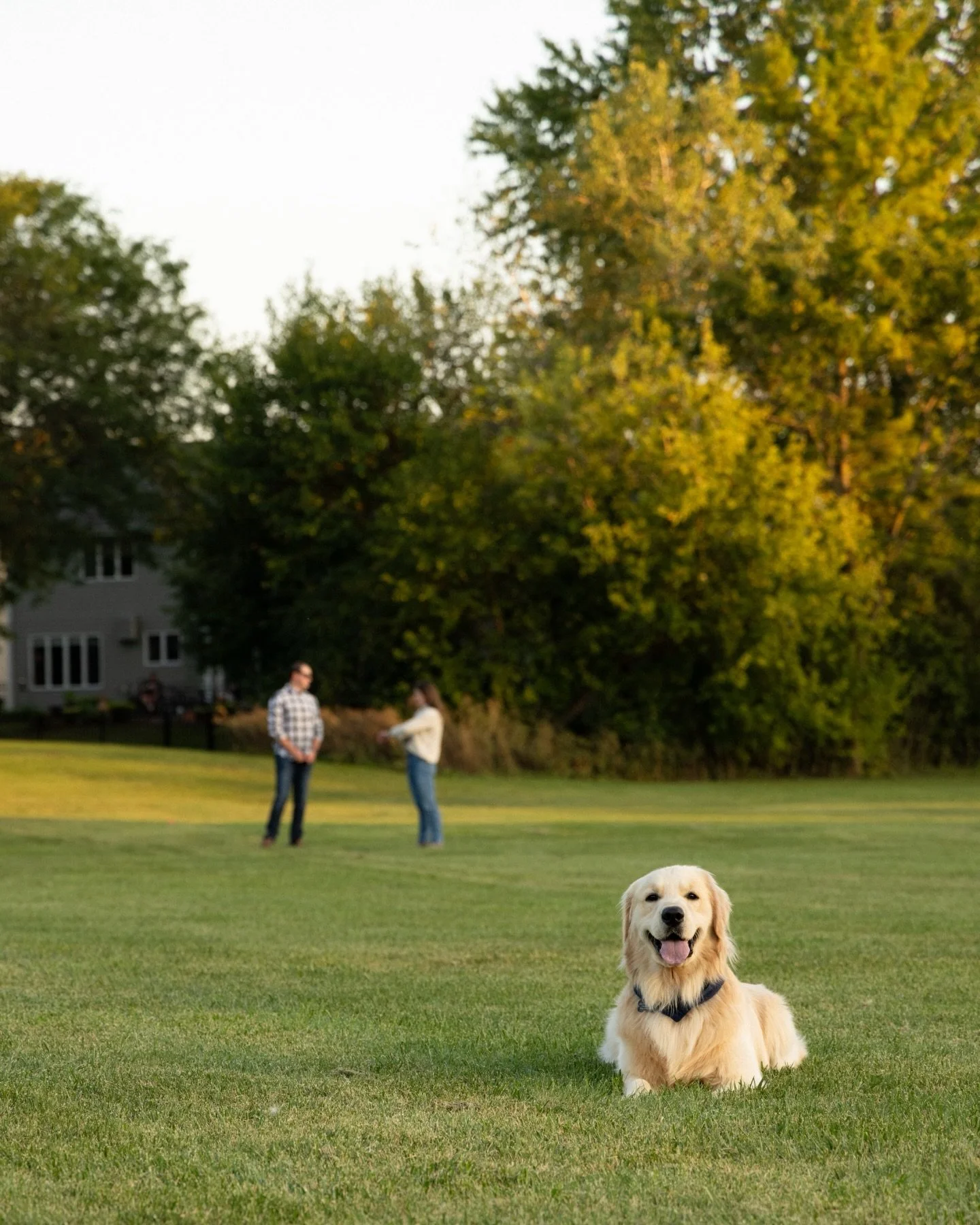 Consider this my official application to photograph you and your dog because we don&rsquo;t deserve them and they deserve it all. 

Reality feels heavy. Reminder do what you can, take care of yourself and your neighbors, take time away from screens, 